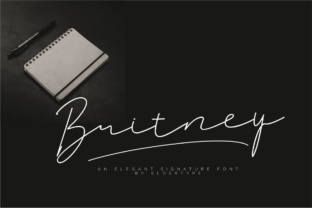 Britney Signature Font for Web Design and Branding