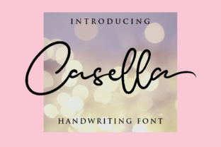 Casella Script Font for Modern Web Design Projects