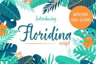 Floridina Font for Fresh, Modern Branding