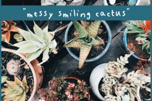 Messy Smiling Cactus Font Adds Casual Charm to Branding Projects
