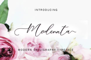 Modennta Script Font for Branding Projects
