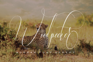 Woodpecker Font for Modern Design Campaigns